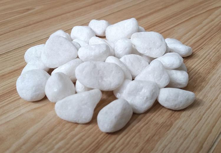 純白蘑菇视频成人网站免费